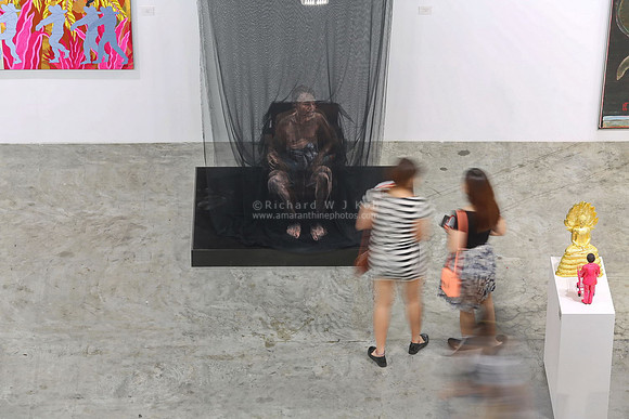 Art Stage Singapore 2014