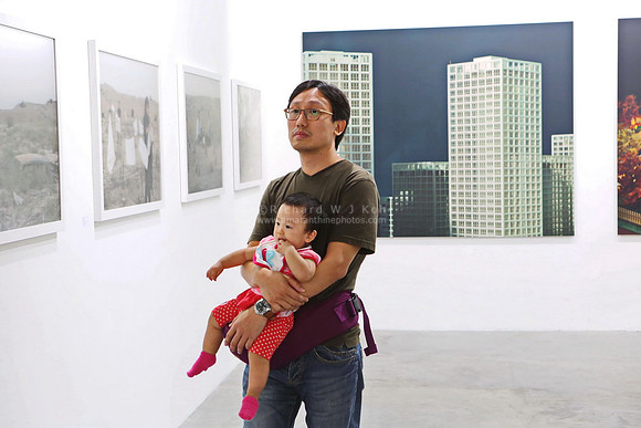 Art Stage Singapore 2014