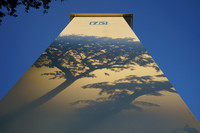 190213-tree shadows on flat golden sunlight evening_RS32858-m