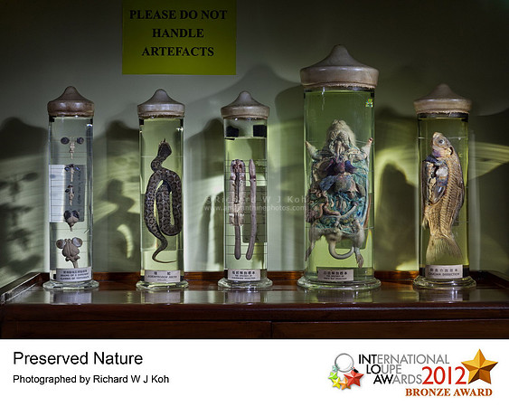 Preserved Nature-International Loupe Awards-Bronze