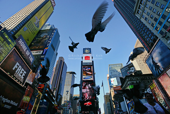 New York, US