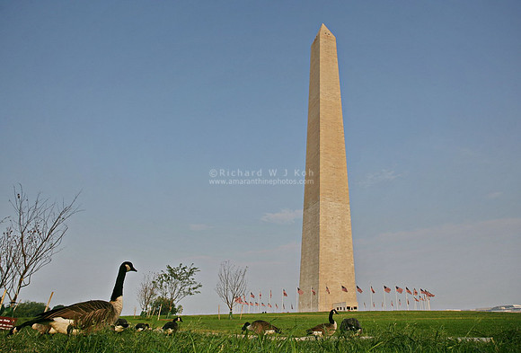 Washington Monument, Washington DC
