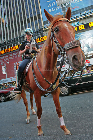 New York, US