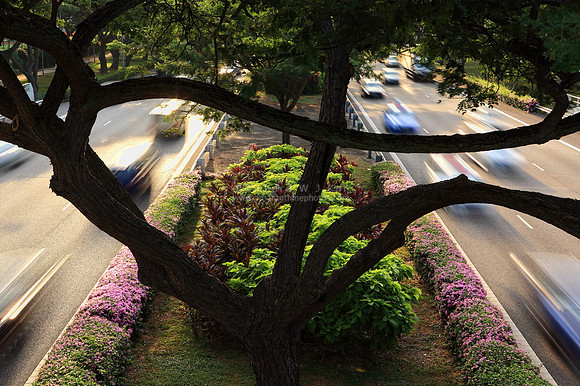 East Coast Parkway, Singapore