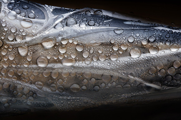 Thawing droplets on a fish