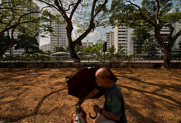 Heat wave, global warming, dried grass
