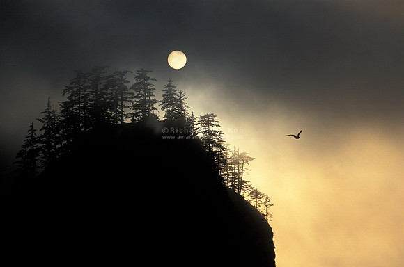 Though The Darkness