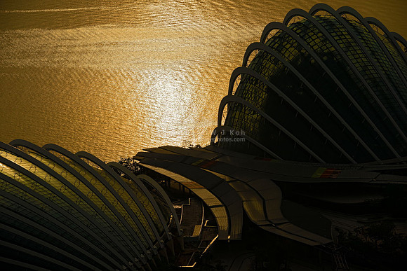 ARK_1382m-Light Upon The Domes