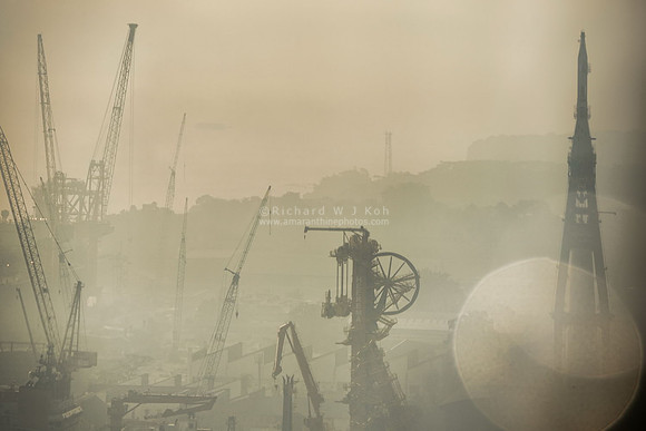 ARN_0834m-Cranes in the Mist