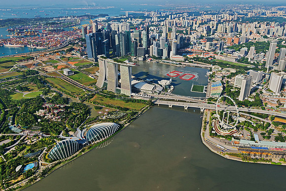 ARN_4831bm-SG50