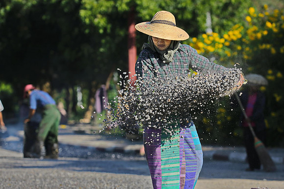 Bagan woman sowing granite chips for road paving
