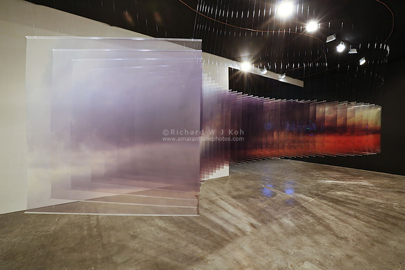 Art Stage Singapore 2014