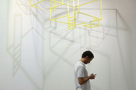 Art Stage Singapore 2014