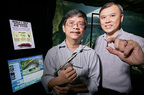 Oceanarium RFID system for aquatic creature tracking